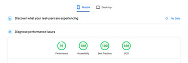 PageSpeed Insights mobile, Performance 91, Accessibility 100, Best Practices 100, SEO 100